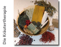 Kräuthertherapie / Chinesische Medizin